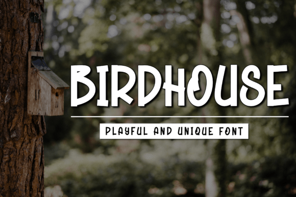 Birdhouse Display Font: A Web Designer's Review for Creative Projects