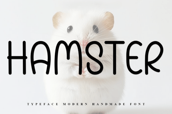 Hamster Font: A Soft Touch for Editorial Design