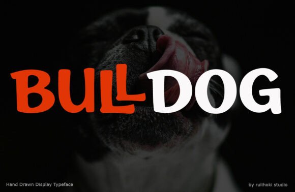 Using Bulldog Display Font for Authentic Web Branding